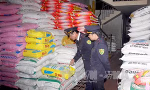 Phát hiện doanh nghiệp dùng hóa chất làm tăng độ đạm trong thức ăn chăn nuôi 