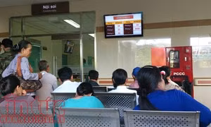 TP Hồ Chí Minh