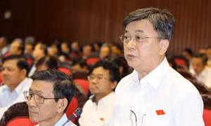 Đại biểu Quốc hội: Lợi ích nhất thời sẽ hủy hoại bán đảo Sơn Trà 