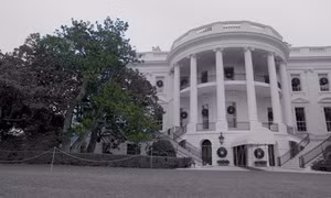 Lý do bà Melania Trump cho chặt cây mộc lan 200 tuổi trong Nhà Trắng
