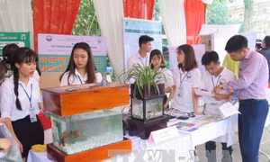 Thắp lửa và kết nối khởi nghiệp cho sinh viên 