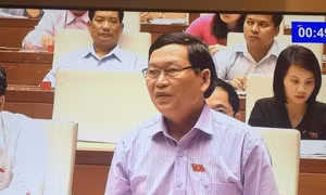Có quá nhiều loại quỹ trong dự thảo Luật Hỗ trợ doanh nghiệp nhỏ và vừa