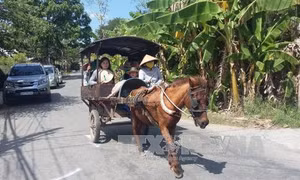 Nhiều hoạt động đặc sắc thu hút khách trong dịp Tết Đinh Dậu 
