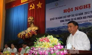 Mỗi tỉnh cần lựa chọn để nghiên cứu xây dựng mô hình hợp tác xã kiểu mới