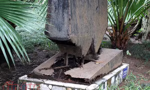 Xót xa vườn tượng công viên Bách Thảo xuống cấp nghiêm trọng