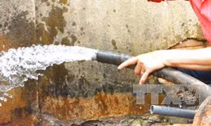 Tiếp tục xác định nguyên nhân cây chết, nước giếng nhiễm mặn ở Vĩnh Tân, Bình Thuận 