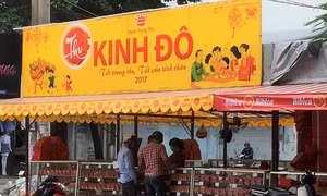 TP Hồ Chí Minh