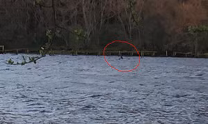 Quái vật hồ Loch Ness tái xuất sau 8 tháng biệt tích?