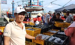 Điển hình ngư dân năng động sáng tạo 