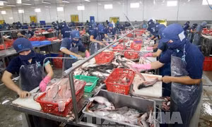  Cắt giảm điều kiện kinh doanh không chỉ là 'làm sạch nước trong bể'