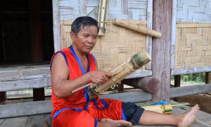Cây đàn Chapi của người Raglai 