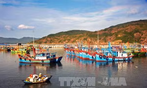 Nhiều chủ tàu vỏ thép ở Bình Định đứng trước nguy cơ bị phá sản