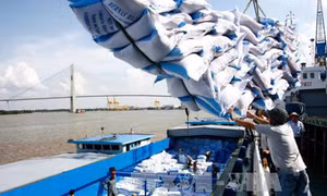 Philippines tăng cường nhập khẩu gạo từ Việt Nam và Thái Lan