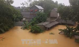 Mỹ giúp Việt Nam hơn 1 triệu USD khắc phục hậu quả bão và phòng chống thiên tai
