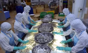 GDP 9 tháng tăng 6,41%, cả năm có thể đạt 6,7%