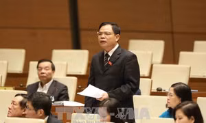 Bộ trưởng Nguyễn Xuân Cường: Nông nghiệp phải thích ứng với thị trường và biến đổi khí hậu