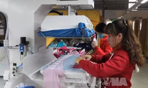 Lấy ý kiến về quy định hàm lượng formaldehyt và các amin thơm trong dệt may