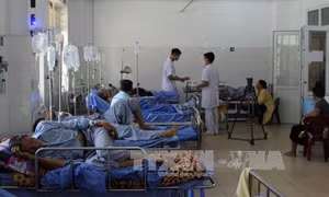Ăn phải đàn gà dính bả thuốc chuột, 25 người nhập viện