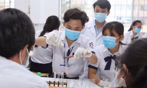 Siết chặt quy định đối với ngành đào tạo liên quan đến sức khỏe