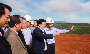 Tổ hợp bauxit - nhôm Lâm Đồng là hình mẫu cho các dự án công nghiệp
