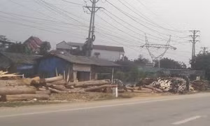 Ngừng cấp điện đối với các trường hợp vi phạm Luật Đất đai 