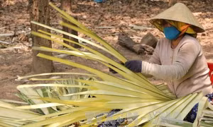 Đến 'thiên đường' chế biến lá buông nơi biên giới