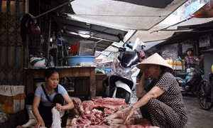 Hải Phòng: Truy bắt 2 đối tượng hắt chất bẩn vào quầy thịt lợn giá rẻ