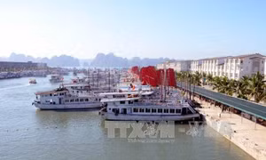 Thí điểm ghép tàu tham quan vịnh Hạ Long