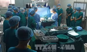 Bệnh nhân đầu tiên được ghép tim khu vực phía Nam đã xuất viện