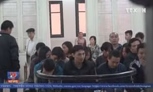 Phạt tù nhóm nhân viên gian lận xăng dầu