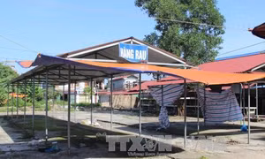 Nhiều sai phạm trong đầu tư xây dựng chợ đầu mối Bắc Sơn - Thái Nguyên 