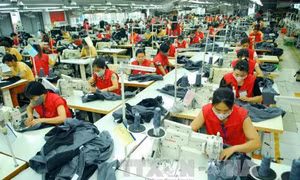 Tạo tiền đề cho xuất khẩu bền vững 