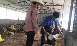 Thủ lĩnh đoàn năng động 