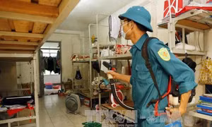 Dịch sốt xuất huyết tạm thời được khống chế 