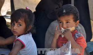Syria: 270.000 người sơ tán từ Raqqa đang cần cứu trợ khẩn cấp 