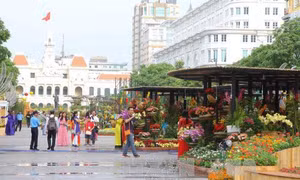 Người dân Nam bộ thưởng lãm đường hoa Nguyễn Huệ trong tiết trời tạnh ráo 