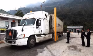 Tăng cường kiểm dịch y tế biên giới để phòng chống dịch cúm gia cầm