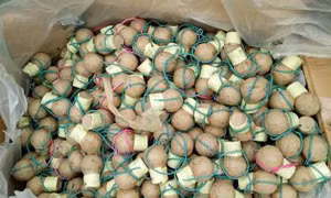 Bắt giữ đối tượng vận chuyển 30 kg pháo nổ