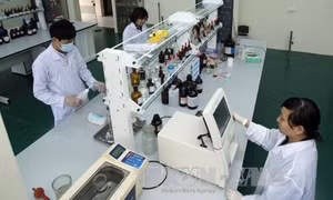 Chồng chéo, độc quyền trong kiểm tra chuyên ngành 