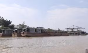 Các bến đường thủy từ Quỳnh Phụ (Thái Bình) sang tỉnh Hải Dương hoạt động trở lại