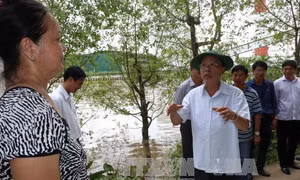 Hậu Giang: Không còn mùi hôi phát tán xung quanh Nhà máy Giấy Lee & Man