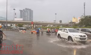 Thành phố Hồ Chí Minh