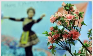 Rực rỡ 'Lễ hội hoa đỗ quyên' trên đỉnh Fansipan 
