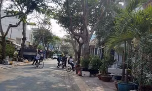 TP Hồ Chí Minh