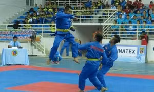 TP Hồ Chí Minh nhất toàn đoàn giải Vovinam vô địch quốc gia năm 2017 