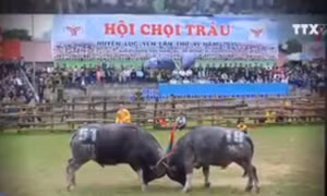 Ngăn chặn những biểu hiện biến tướng lễ hội