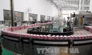 SCIC chuẩn bị bán vốn tại Vinamilk