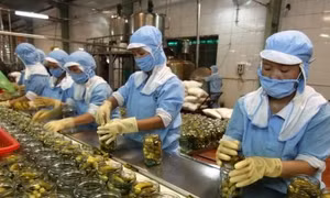  Xuất khẩu rau, quả ước đạt 1 tỷ USD