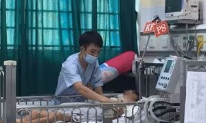 Trẻ nguy kịch do viêm não Nhật Bản gia tăng