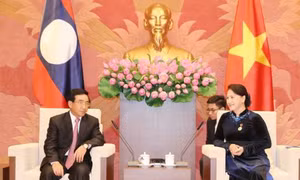 Chủ tịch Quốc hội tiếp Phó Chủ tịch nước Lào Phankham Viphavanh 